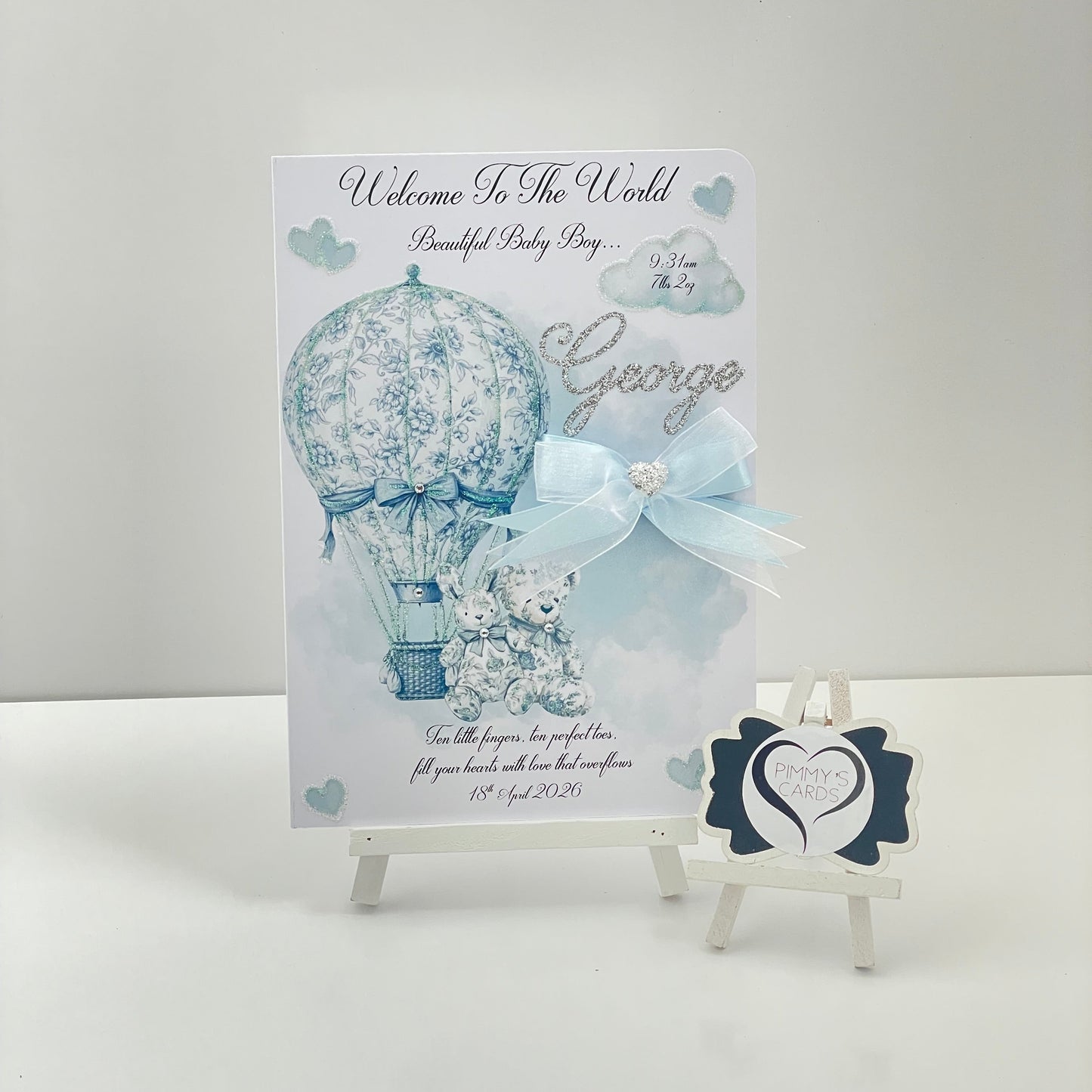 Blue Toile Hot Air Balloon & Teddy’s Theme - New Born