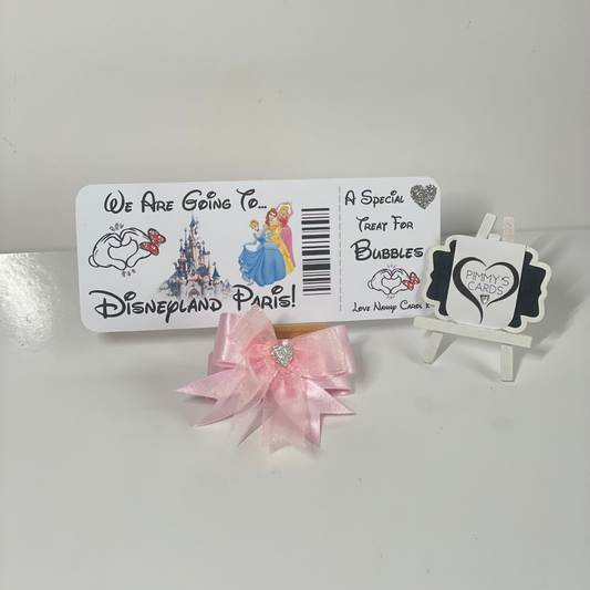 Reveal Boarding Pass Ticket- Disneyland Paris Princesses