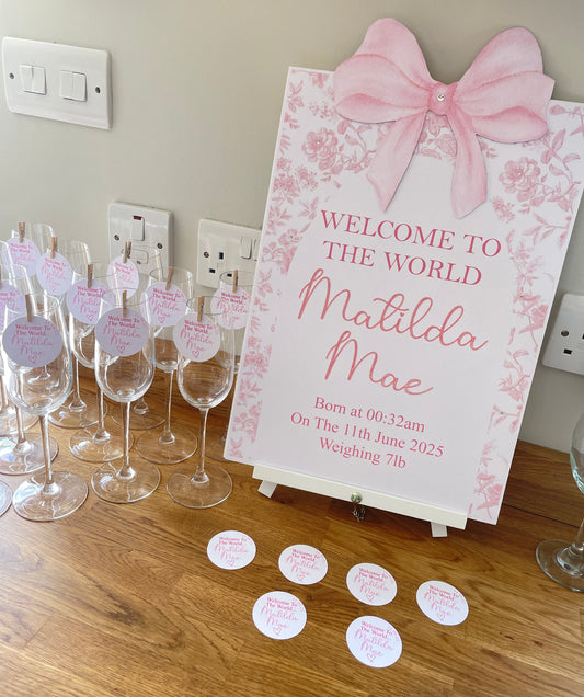 Welcome To The World Matilda Mae Pink Bow Toile Sign